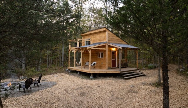 Addys cabin in the trees