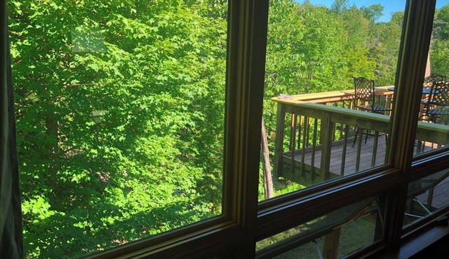 Adirondack Aerie on East Brook in St Regis Falls