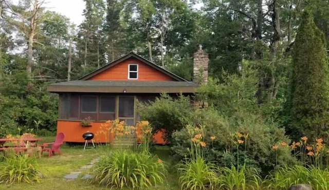 Adirondack Birch Inspired Cabin