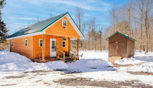 Adirondack Cabin, Private Hiking trail, Fishing, FirePit, Pet, BBQ