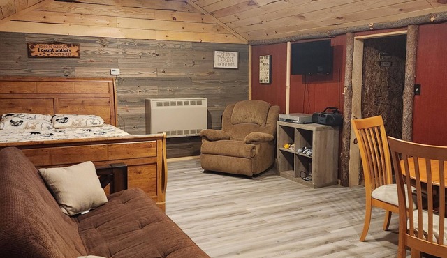 Adirondack Cabin Retreat On West Branch of the Oswegatchie River!