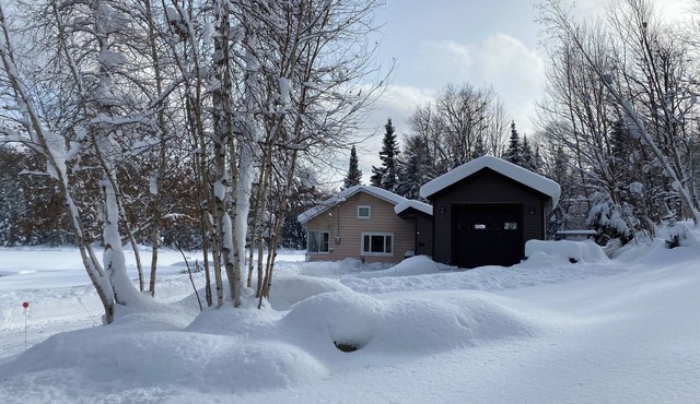 Adirondack Cottage - Four Season, Pet-Friendly, Cozy & Beautiful. Read reviews!
