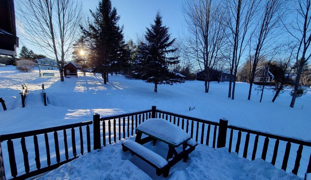 Adirondack Cozy Cottage Hideaway