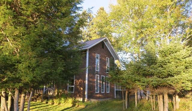 Adirondack Indian Lake NY-Good WiFi. Sleeps 8. Families, friends and dogs.