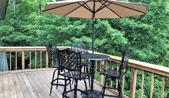 Adirondack Park Aerie on East Brook with 2 car heated garage