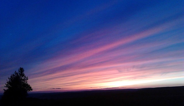 Adirondack Style Lodge - Minutes from Keuka Lake, Wineries. Very Private.