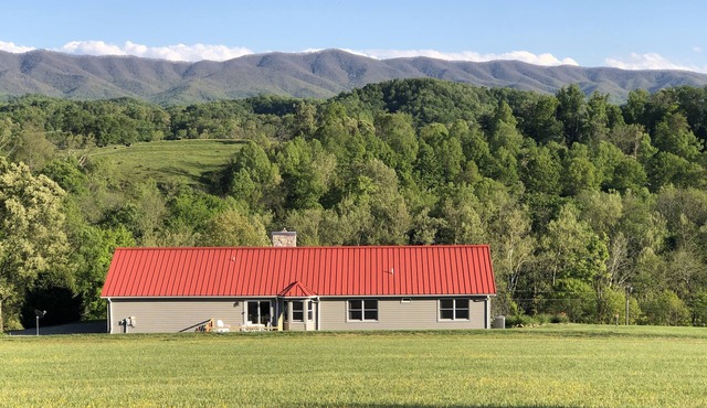 Adjacent to South Holston River. Pet/smoke free! Great fishing! Close to BMS!