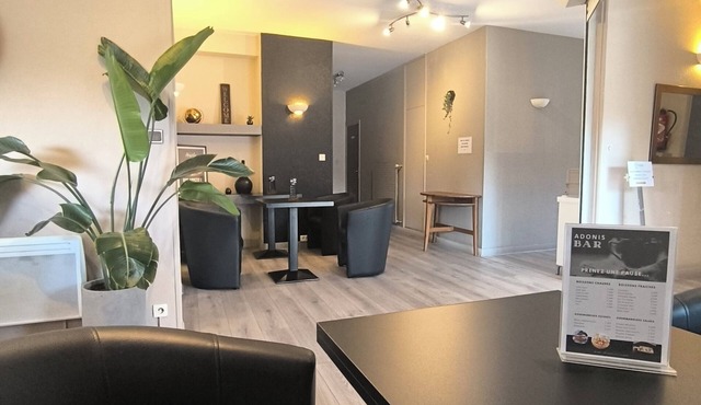 Adonis Lyon Est Hôtel Artys