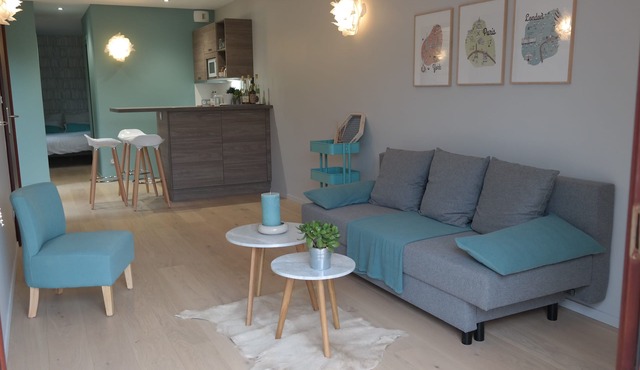 Adorable mini loft Poleymieux au mont d'or near Lyon, view, quiet, SPA