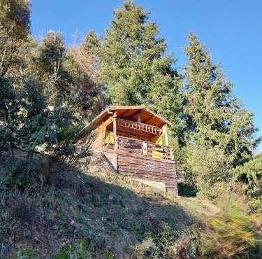 Adorable chalet au coeur de l'Ardèche