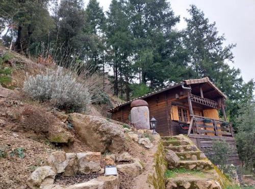 Adorable chalet au coeur de l'Ardèche