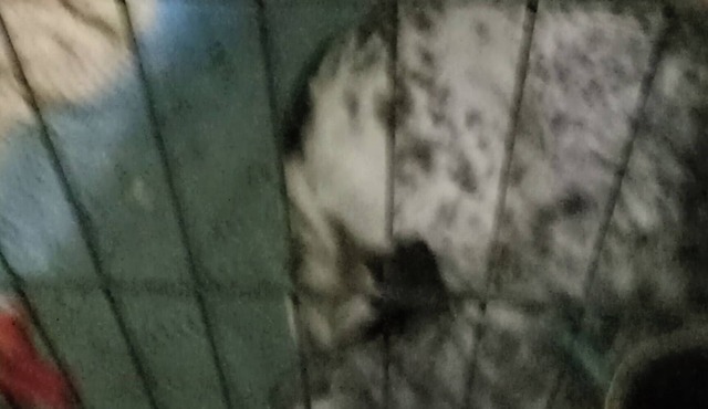 Adorable 1-bedroom farmhouse in Truxton with WiFi access