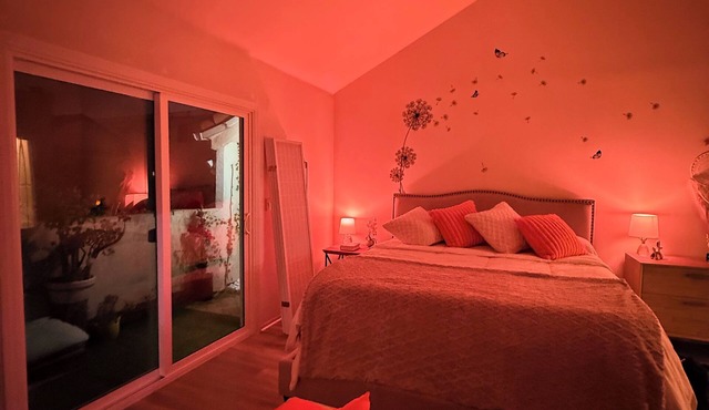 Adorable 1-bedroom room in a very spacious house with gym, private balcony