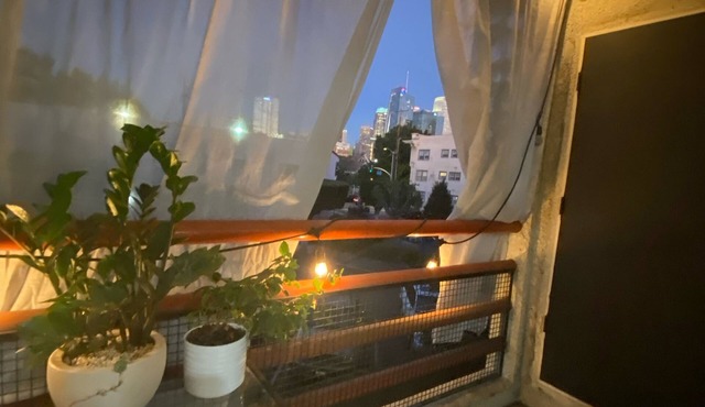 Adorable 1-bedroom condo with AC in lively downtown Los Angeles