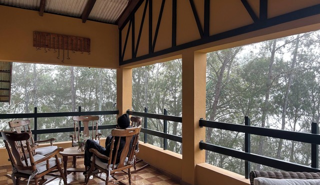 Adorable 3-bedroom cabin in tranquil Constanza getaway