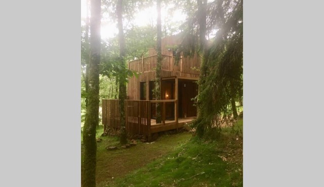Adorable Cabane dans un espace boisé