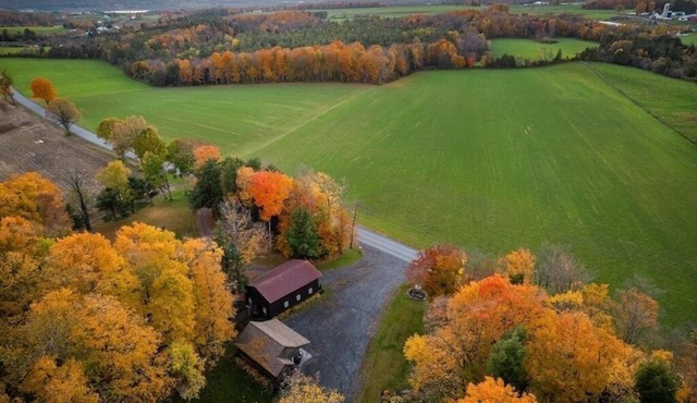 Adorable Cabin. Cozy & comfy. Coffee bar, firepit, horseshoes, hammock, grill