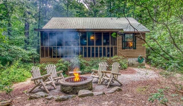 Adorable cabin w/a hot tub, air hockey, & firepit Close to state park