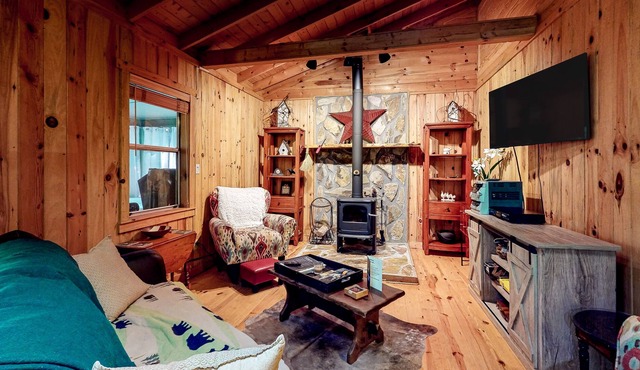 Adorable cabin w/ a private hot tub, screened porch, firepit, & forest views
