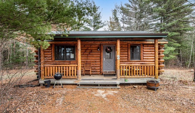 Adorable cabin with pond access, WiFi, furnished porch, & gas fireplace