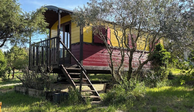 Adorable "Carpe Diem" caravan in a peaceful natural setting