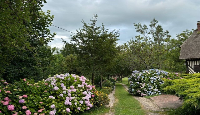 Adorable Chaumière Proche D'honfleur. Entièrement Rénovée en 2024