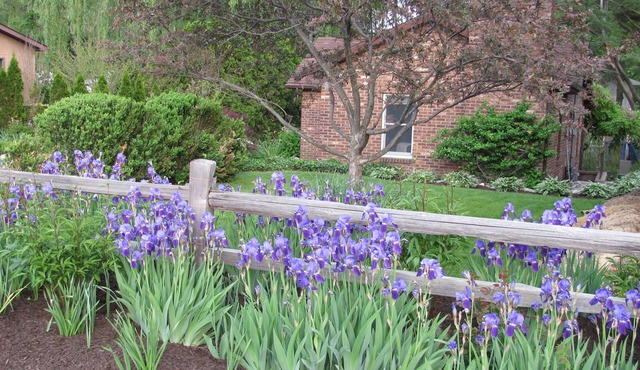Adorable Cottage New Buffalo, Mi. Near Grand Beach.1 Bedroom, Sleeps 5