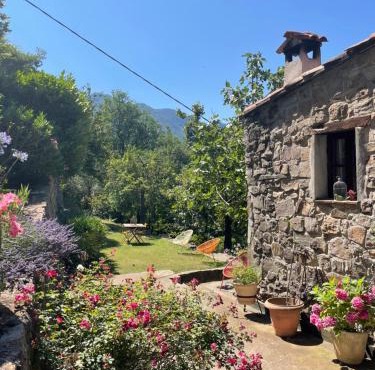 Adorable gîte - Le figuier