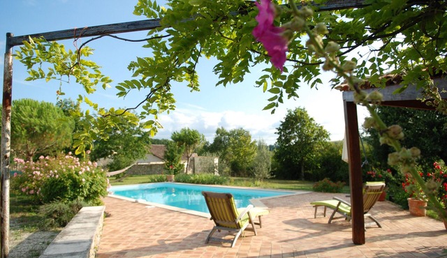 Adorable guest apartment at the pool