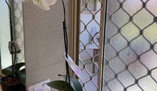 Adorable-large 1bedroom Guest House