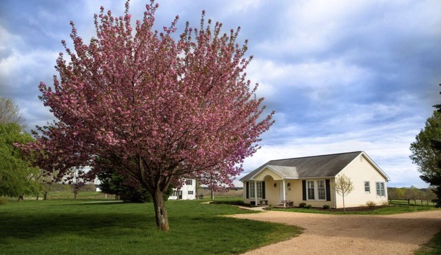 Adorable Manor Cottage on West Manor Estate in Forest, Virginia.
