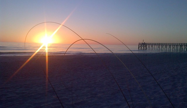 Adorable One Bedroom One Bathroom With Easy Access To The Beach!