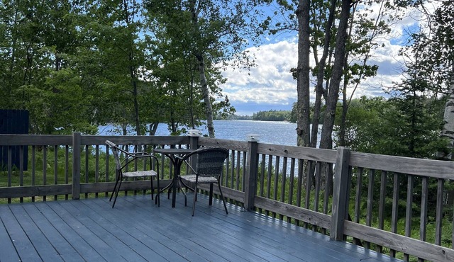 Adorable one bedroom cabin on Little Lake, centrally located near Trail 8