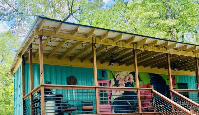 Adorable secluded Shipping Container near Bufffalo National River