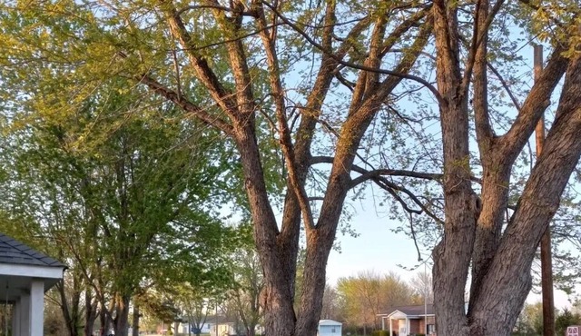 Adorable, Small, romantic and cozy cottage with art studio