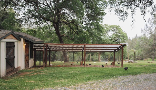 Adorable tiny home on a mini farm in Gold Country