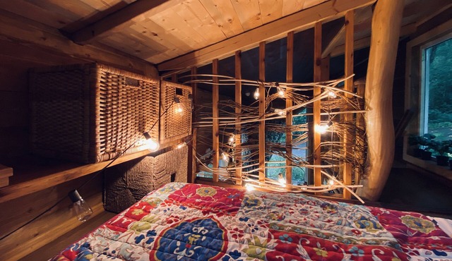 Adorable Tiny House with Forest and Garden views.