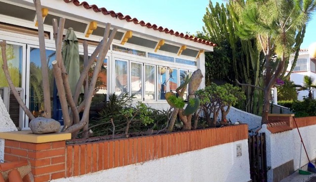ADOSADO ESTRELLA DEL MAR