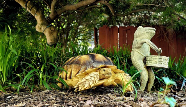 Adult Retreat - Great Location - Guest Suite with Luxe Amenitiesn