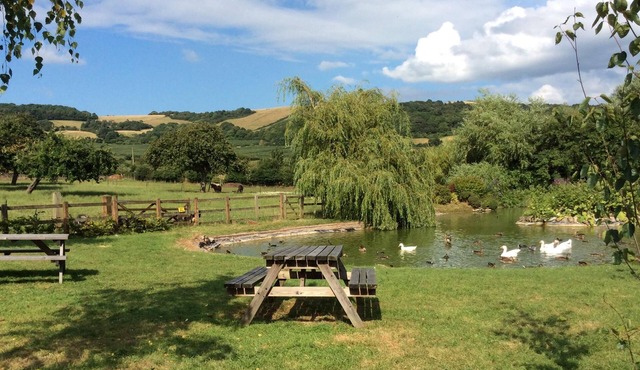 Adults only Lakeside Barns, Holiday Cottages