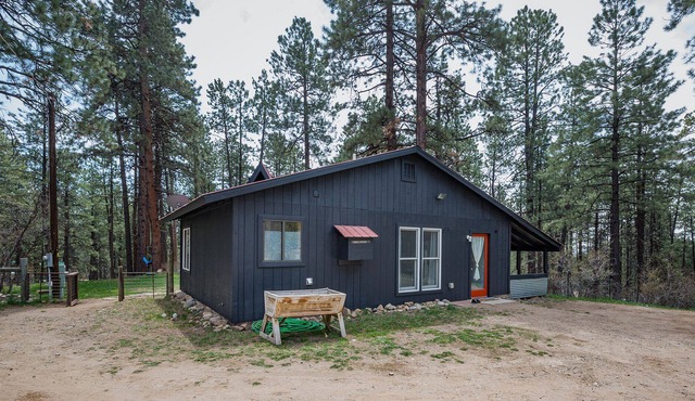 Adventure Basecamp Cabin is Near Lakes, Wooded Setting, Small Dog OK