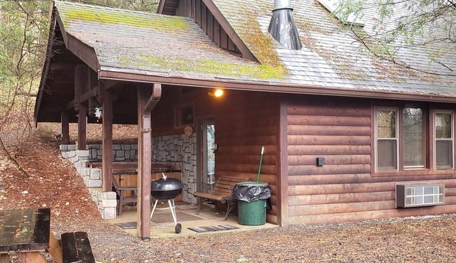 Adventurer's Lodge, a charming 3-bedroom cabin with WiFi in quiet Lansing, WV.