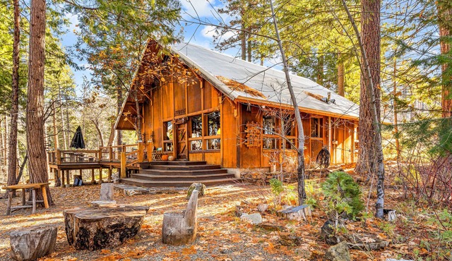 Adventurer's retreat with a pizza oven, wood-burning fireplace, and large deck