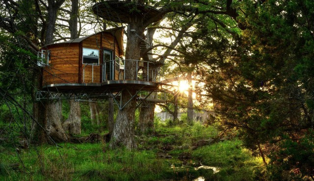 Adventures Await at this Stunning Tree House Retreat in Texas