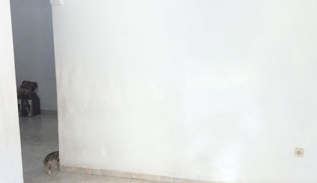 Adventures jungle & lake home