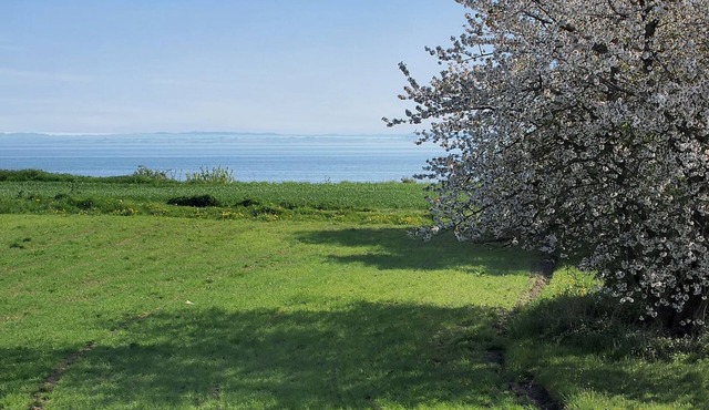 "Ady" - 150m from the sea by Interhome