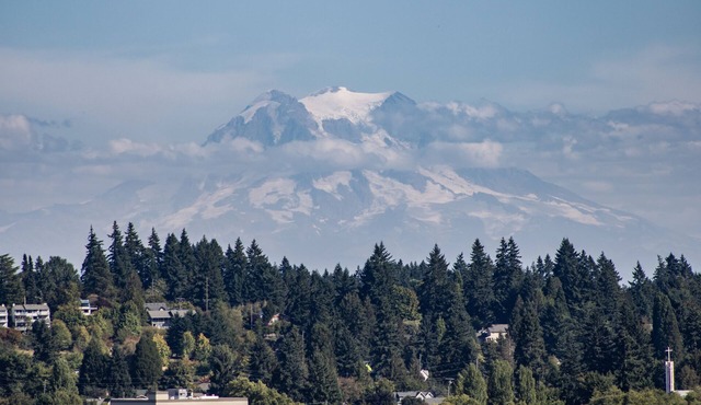AERIE VIEW Classic character close to downtown w view of Mt Rainier & Budd inlet
