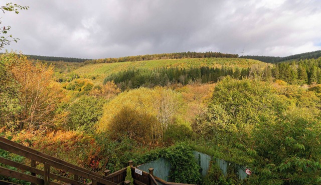 Afan Forest Bike Park Lodge Can Sleep Up To 22 people