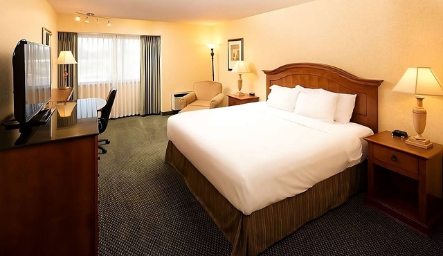 Affordability Meets Comfort! Free Parking, Pets Allowed, Outdoor Pool