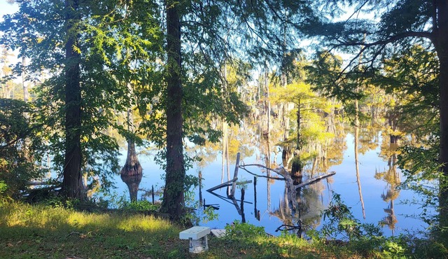 Affordable 7-bedroom house on the bayou in Monroe